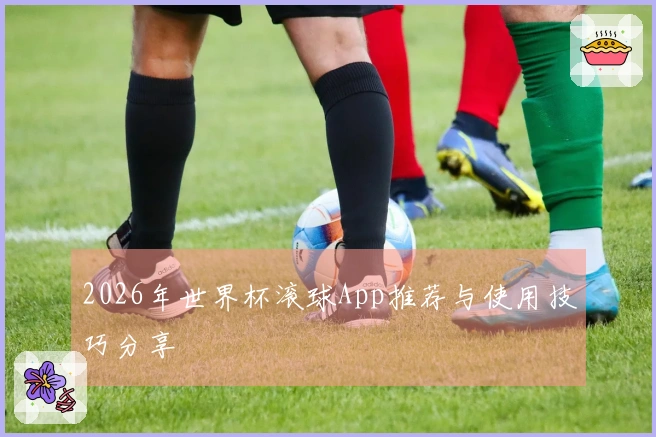 2026年世界杯滚球App推荐与使用技巧分享