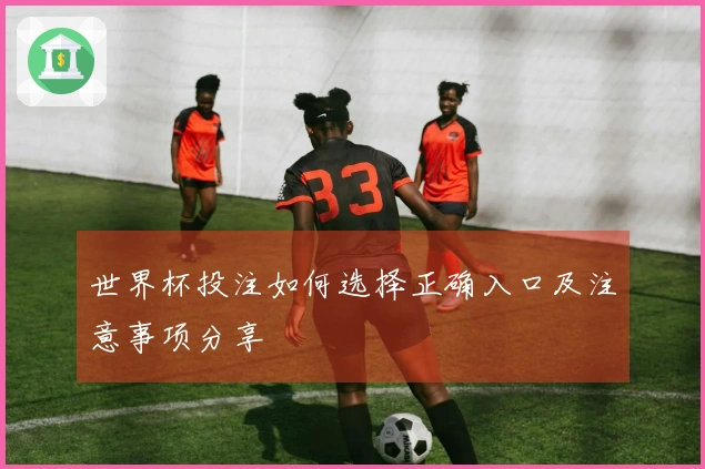 世界杯投注如何选择正确入口及注意事项分享