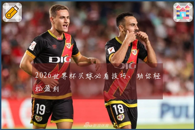 2026世界杯买球必看技巧，助你轻松盈利