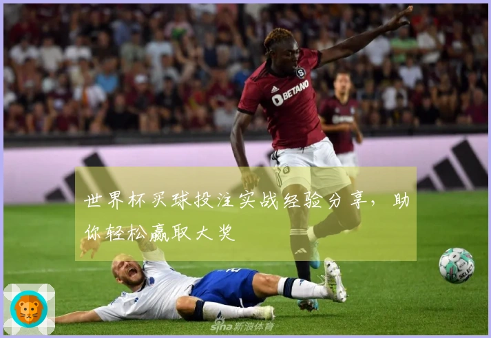 世界杯买球投注实战经验分享，助你轻松赢取大奖
