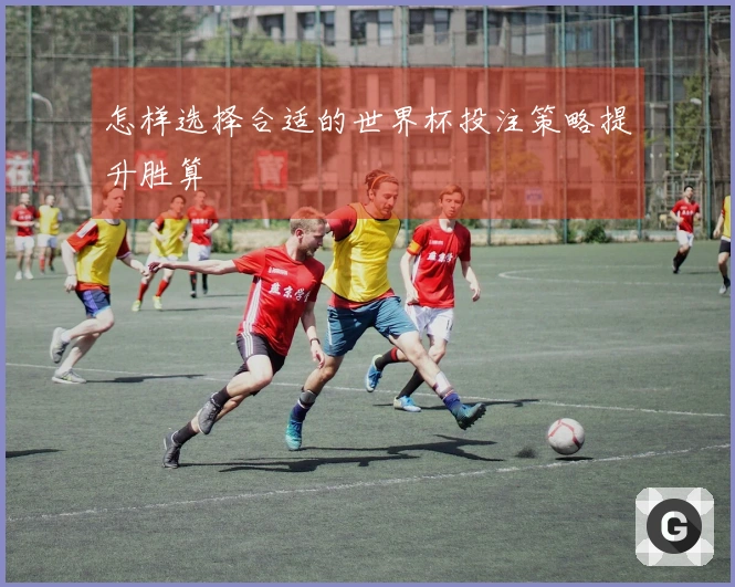 怎样选择合适的世界杯投注策略提升胜算