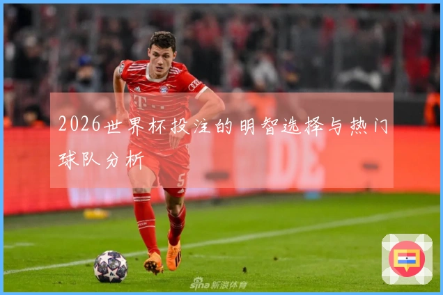 2026世界杯投注的明智选择与热门球队分析
