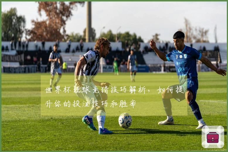 世界杯让球竞猜技巧解析，如何提升你的投注技巧和胜率