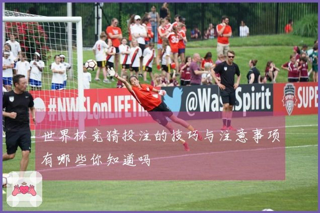 世界杯竞猜投注的技巧与注意事项有哪些你知道吗