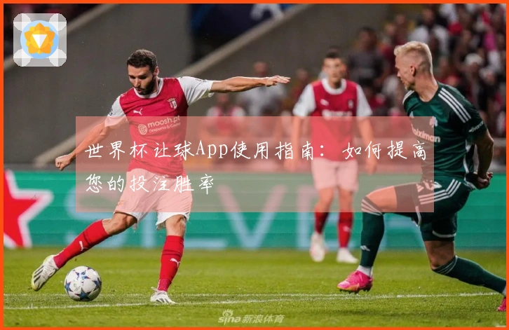 世界杯让球App使用指南：如何提高您的投注胜率