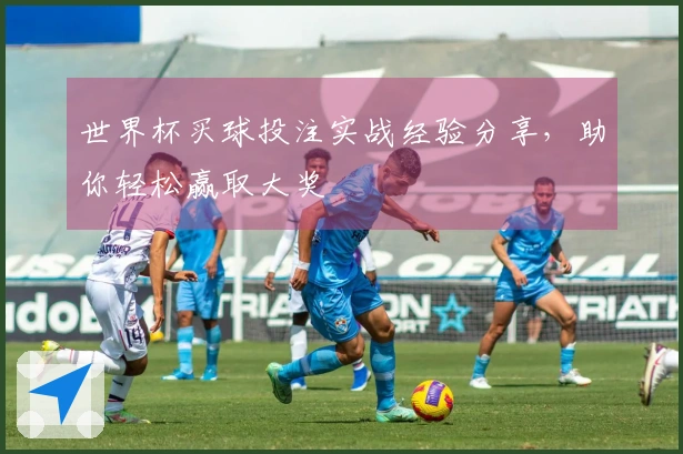世界杯买球投注实战经验分享，助你轻松赢取大奖