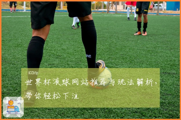 世界杯滚球网站推荐与玩法解析，带你轻松下注