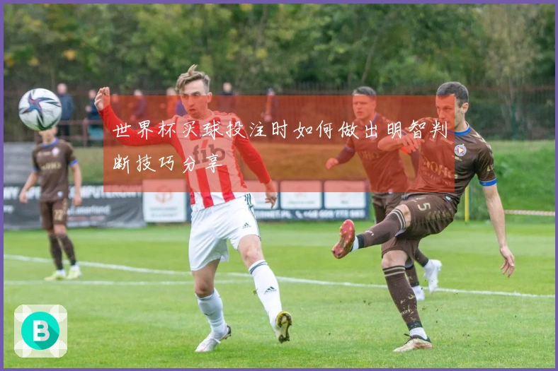 世界杯买球投注时如何做出明智判断技巧分享